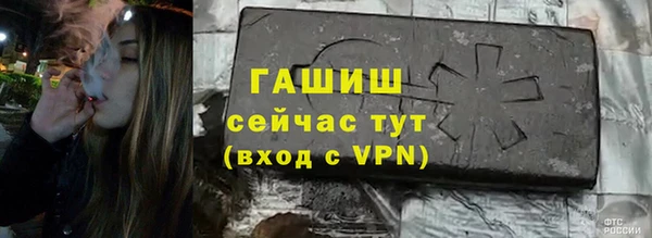 гашик Корсаков