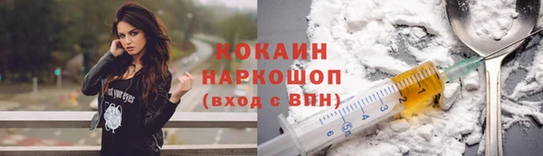 гашик Корсаков