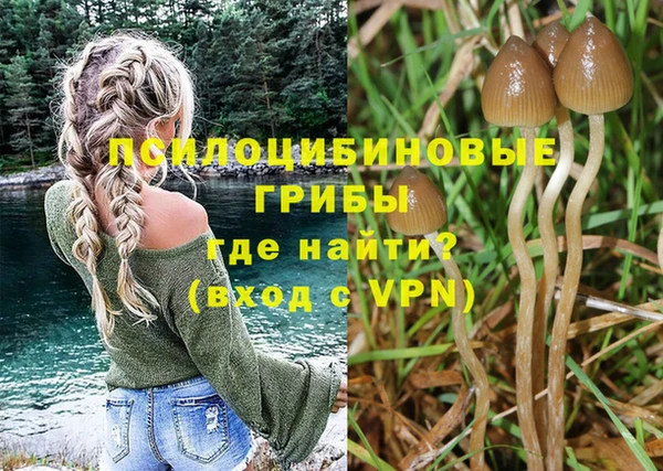 прущая мука Костерёво