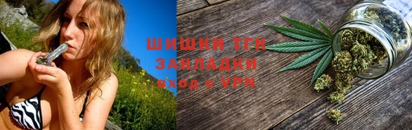 гашик Корсаков