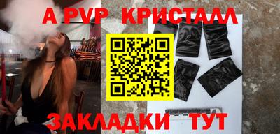 скорость Кингисепп