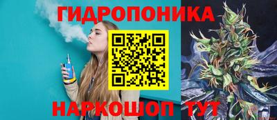 скорость Кингисепп