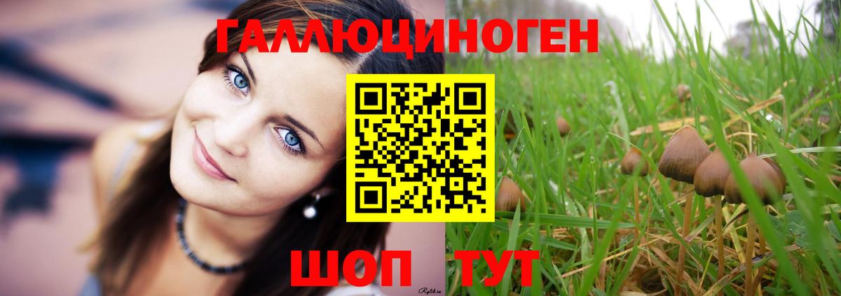 Галлюциногенные грибы Psilocybe Феодосия